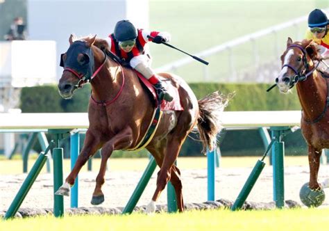 【スワンs】ウイングレイテスト32戦目にして悲願の重賞初勝利 競馬ニュース Netkeiba