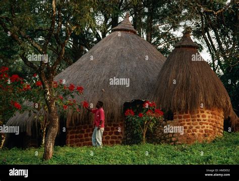 Houses With Thatched Roofs Campo Of Ngaoundaba Ngaoundere Cameroon