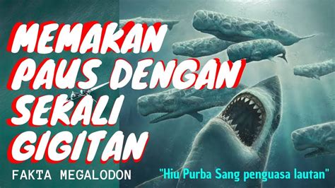 Apakah Sudah Punah Fakta Tentang Hiu Purba Megalodon Youtube