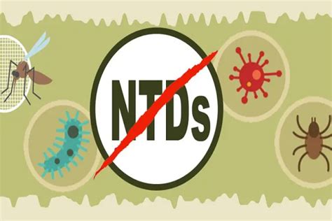 Things To Know About 16 Neglected Tropical Diseases The Nation Newspaper