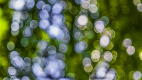 Light Bokeh Photography · Free Stock Photo