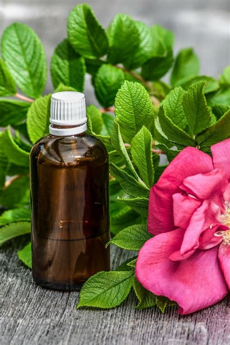 10 Best Essential Oils For Aging Skin And How To Use Them