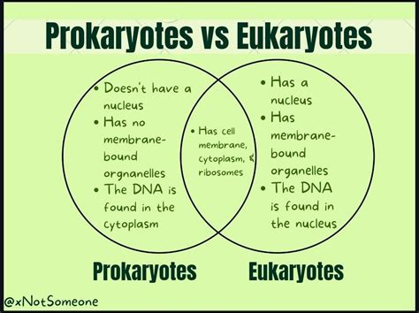 Prokaryotic And Eukaryotic Cells Differences And Similarities