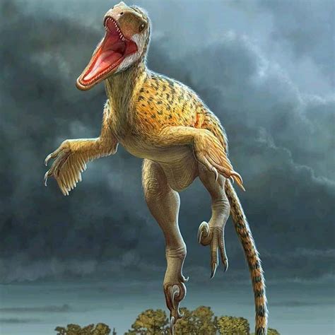 Utahraptor ostrommasorum. Sergey Krasovisky #paleoart #paleontology # ...