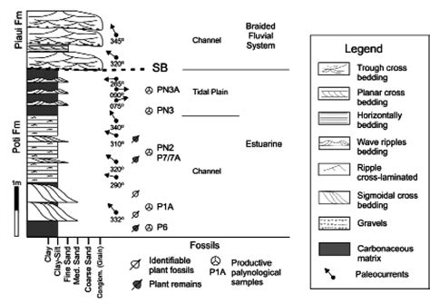 Stratigraphic Section Of The Poti Formation At Riacho Do Roncador