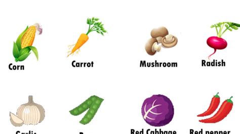 Vegetables Names In English For Kids