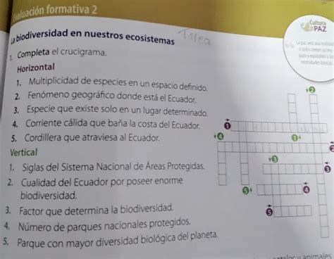 Complete El Crucigrama Brainly Lat