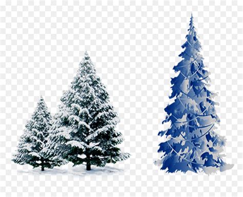 Snow Pine Png Pine Tree Snow Png Transparent Png Vhv