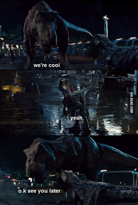 Rexy And Blue After The Fight With Irex 9gag