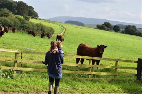 Kersheugh Farm Scottish Borders Agritourism Monitor Farm