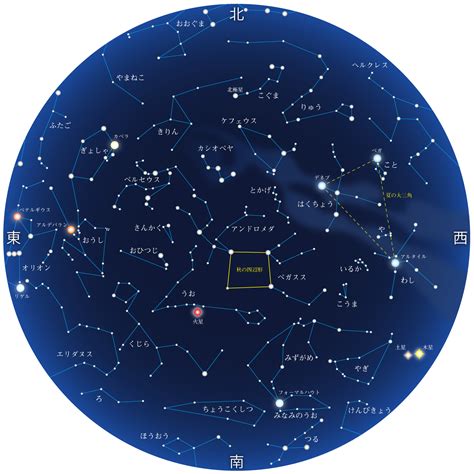 11月の星空案内（2020） 浜松科学館