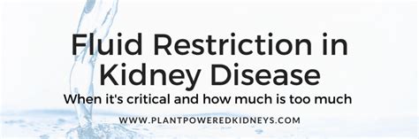 Dialysis Diet Articles Plant Powered Kidneys