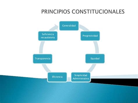 Principios Constitucionales