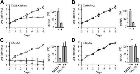 Figures And Data In Hypothemycin A Fungal Natural Product Identifies