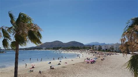 Playa de Alcudia (Port d'Alcudia) - 2020 All You Need to Know Before ...