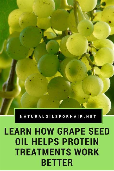 Learn How Grapeseed Oil Helps Protein Treatments Work Better Natural