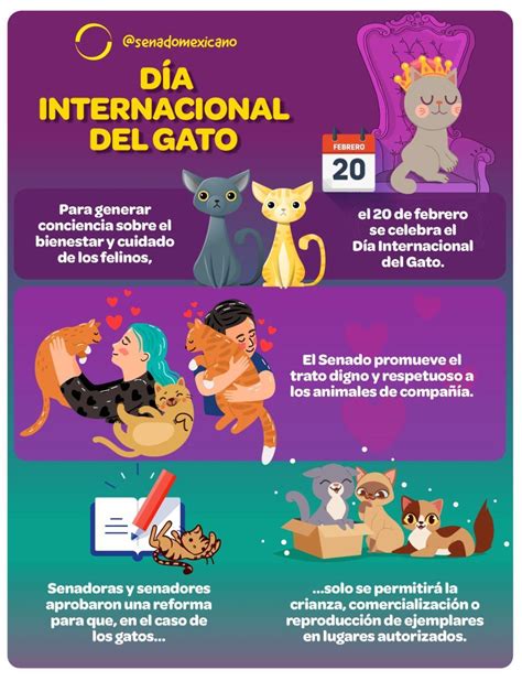 Dia Internacional Del Gato 2024 Aleda Mellisa