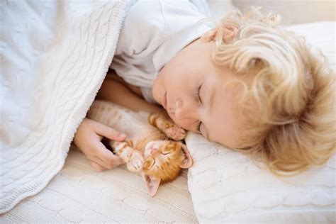 16+ Thousand Child Sleeping Winter Royalty-Free Images, Stock Photos ...