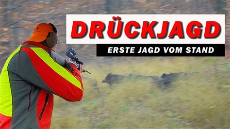 Drückjagd 2 Erstes Mal vom Stand im JJ 2021 22 YouTube