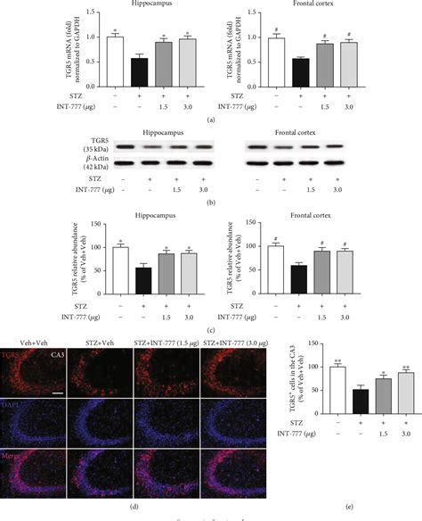 Figure From Activation Of Tgr Ameliorates Streptozotocin Induced