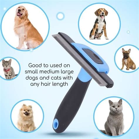 Brosse Chiens Chats Brosse Pour Chien Chat Brosse De Toilettage Outil