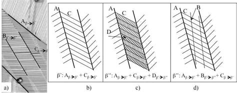 a) SEM image showing one typical microstructure with three levels of ... 