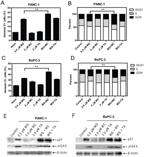 Panc 1 Panels A And B Or Bxpc 3 Panels C And D Cells Were Treated