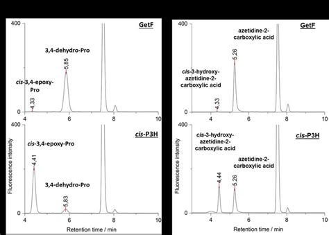 3 Fluorescence HPLC Chromatograms Of Conversions Of A 3 4 Dehydro Pro