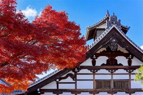 Kioto Osaka Sanzenin Bambusowy Las I 1 Dniowa Wycieczka Do Arashiyama