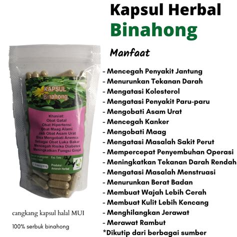 Jual Binahong Isi 100 Kapsul Asli Kapsul Binahong Binahong Obat