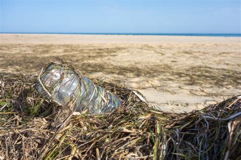 Botella De Plástico Entre Algas En La Arena De La Playa Contaminación