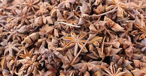 Star Anise What To Cook With Aniseed