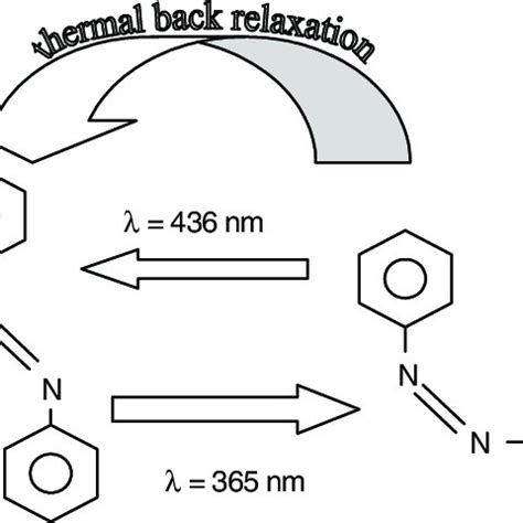 Schematic diagram illustrating the E-Z and Z-E isomerizations ...