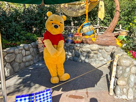 2022 dlr disneyland fantasyland winnie the pooh character meet and ...