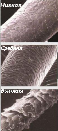 Немного теории, ненаучный подход к определению пористости волос. И как ...