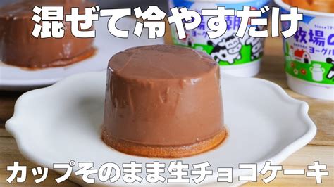 【材料3つ】ゼラチンなし！パックそのまま生チョコケーキ作り方！ 【syun Cooking】 Youtube