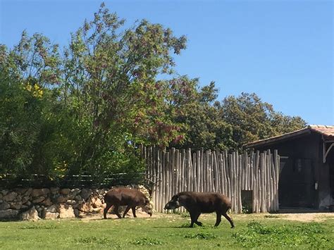 une visite au zoo de la barben
