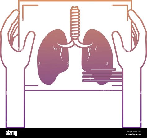 Hands Holding A Lungs Xray Icon Over White Background Vector