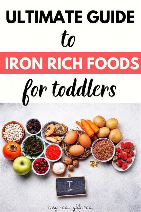 Iron Rich Foods List For Babies Brittni Stackhouse