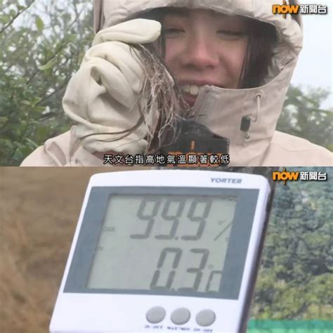 Now派女記者登大帽山實測嚴寒天氣凍足兩個鐘 網民戥陰功嘆搵食艱難 最新娛聞 東方新地