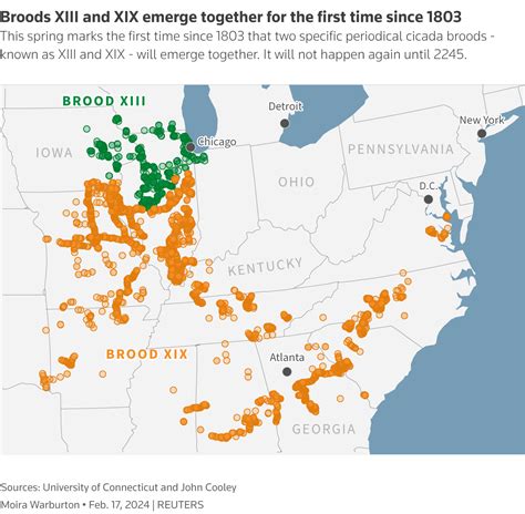 Cicadas What To Know About This Year’s Historic Double Brood Reuters