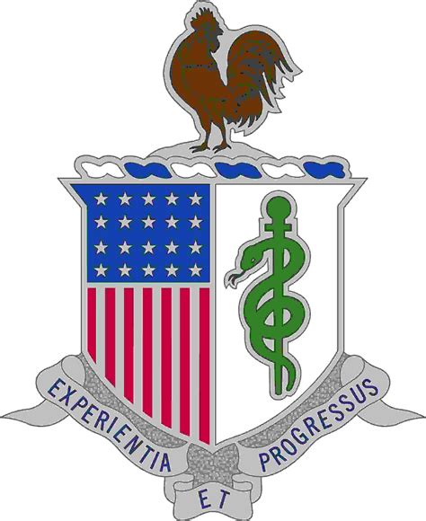 The New Army Medical Department AMEDD Regimental Distinctive