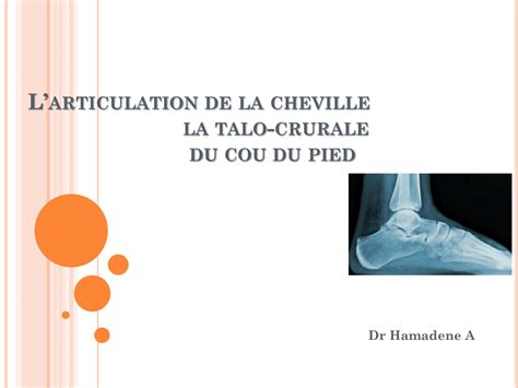 Solution Articulation De La Cheville Arthrologie Anatomie Humaine