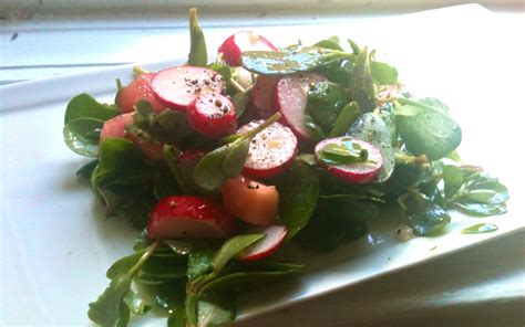 Watercress And Radish Salad With Mustard Jalapeño Vinaigrette Kellyinthekitchen