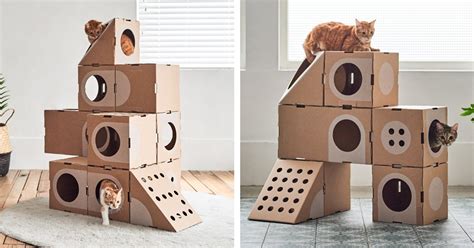 How To Build A Cat Condo Out Of Cardboard - Cat Lovster