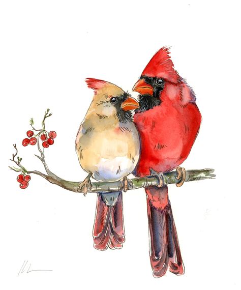 Print Beautiful Red Cardinal Pair Male And Female Watercolor Etsy