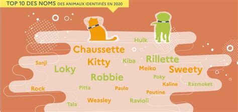 Chiens Et Chats D Couvrez Les Noms Les Plus Souvent Donn S Femme