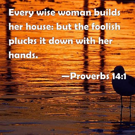 Proverbs 14 1 Every Wise Woman Builds Her House But The Foolish Plucks