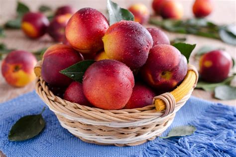 ᐅ Pouvez vous manger des nectarines lorsque vous êtes enceinte