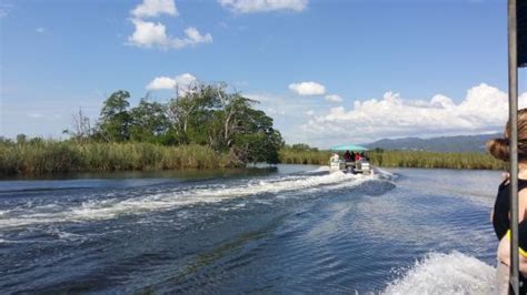 Black River, Jamaica | Jamaica, Natural landmarks, Travel